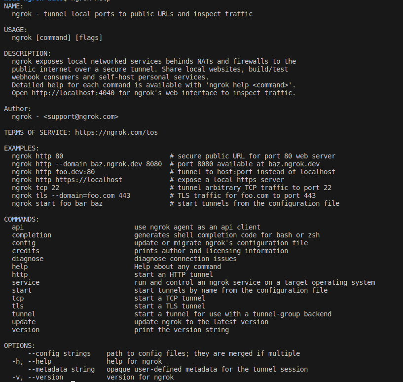 A screenshot of ngrok help text